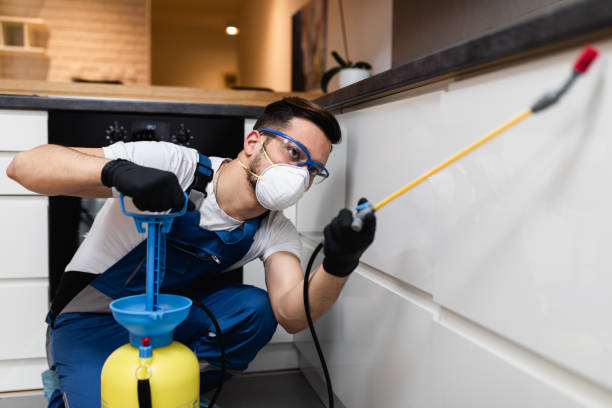 Pest Prevention Services in Lindenhurst, IL