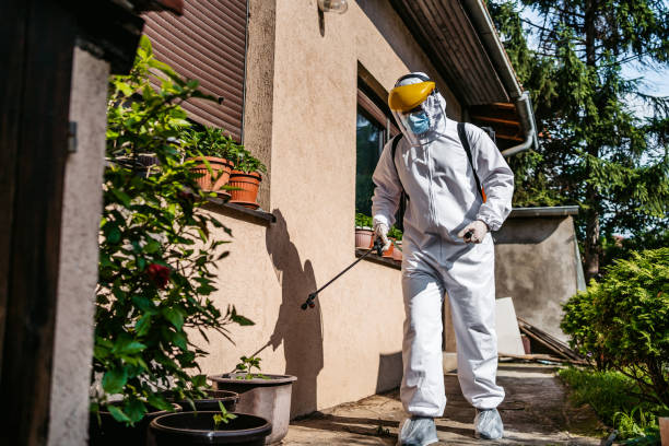 Professional Pest Control in Lindenhurst, IL