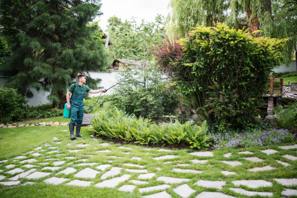 Best Local Pest Control Services  in Lindenhurst, IL