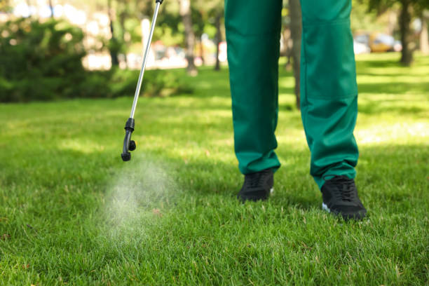 Best Emergency Pest Control  in Lindenhurst, IL
