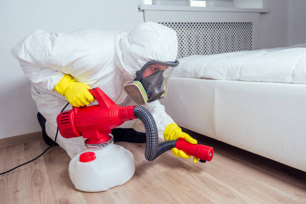Best Mosquito Control Services  in Lindenhurst, IL