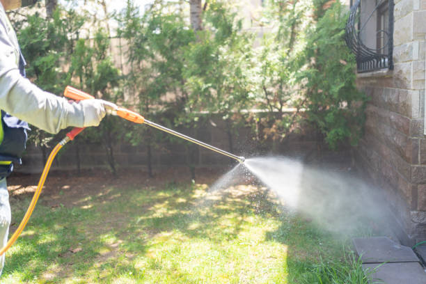 Best Residential Pest Control  in Lindenhurst, IL