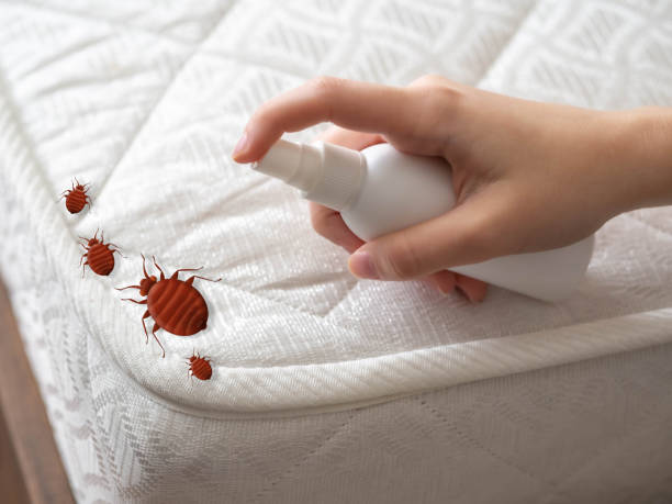 Best Best Pest Control Companies  in Lindenhurst, IL