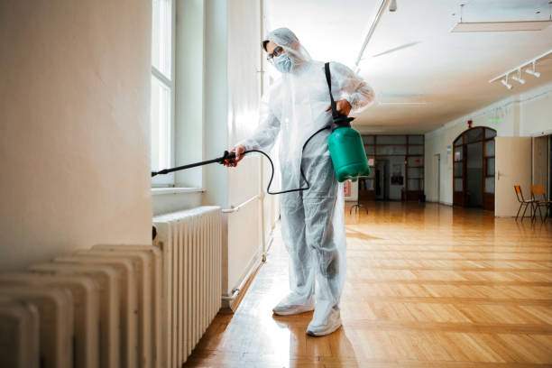 Best Best Pest Control Companies  in Lindenhurst, IL