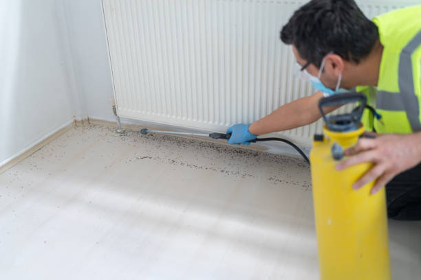 Best Mosquito Control Services  in Lindenhurst, IL